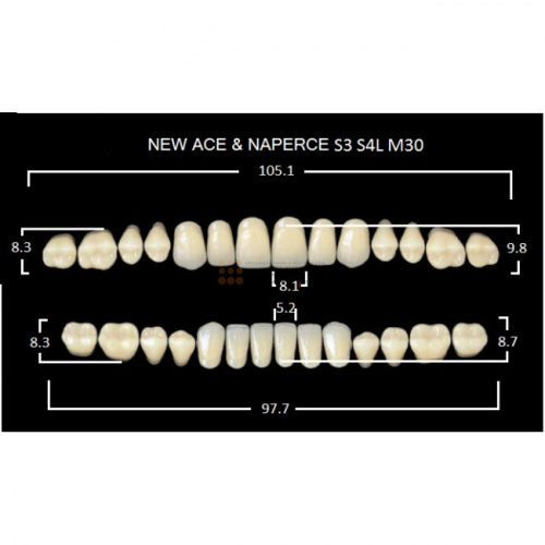 Зубы GLORIA, цвет C4, фасон S3 М30, акриловые двухслойные, полный гарнитур, 28 шт. фото 2