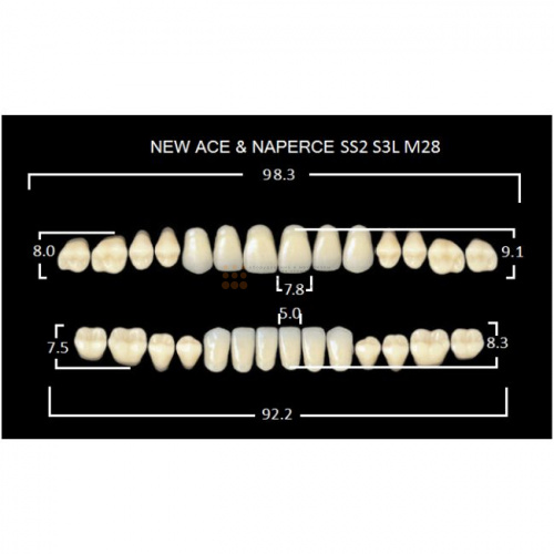 Зубы GLORIA, цвет D2, фасон SS2 М28, акриловые двухслойные, полный гарнитур, 28 шт. фото 2