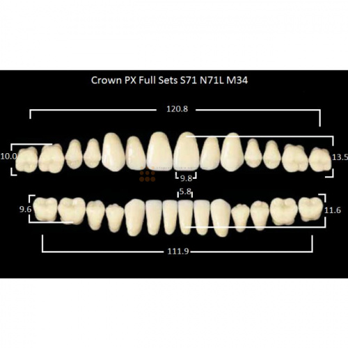 Зубы PX CROWN / EFUCERA, цвет B2, фасон S71/N71L/34, полный гарнитур, 28шт. фото 2