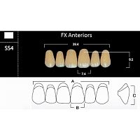 FX Anteriors - Зубы акриловые двухслойные, фронтальные верхние, цвет B4, фасон SS4, 6 шт