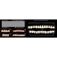 Зубы PX CROWN / EFUCERA, цвет W05, фасон T61S/N61S/34, полный гарнитур, 28шт.