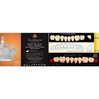 Зубы EFUCERA PX Posteriors, цвет A1, фасон 36, композитные трехслойные боковые нижние, 8 штук на планке.