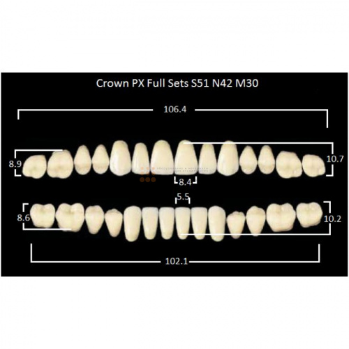 Зубы PX CROWN / EFUCERA, цвет A3, фасон S51/N42/30, полный гарнитур, 28шт. фото 2