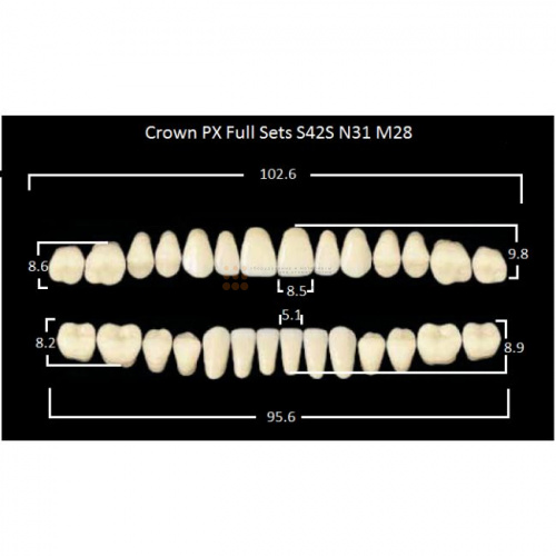 Зубы PX CROWN / EFUCERA, цвет B1, фасон S42S/N31/28, полный гарнитур, 28шт. фото 2